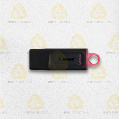 [CLEUSBKINGSTONDTX256] CLE USB 256 Go Kingston DataTraveler Exodia DTX